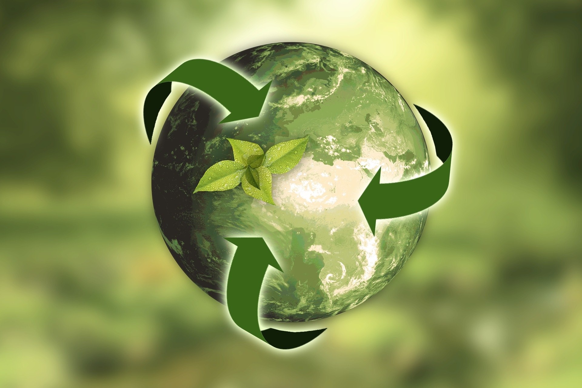 BIOECONOMIA
