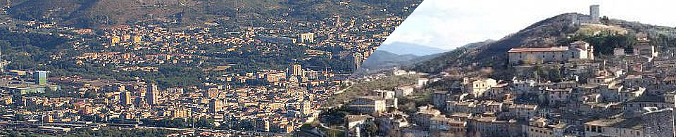 trnarni