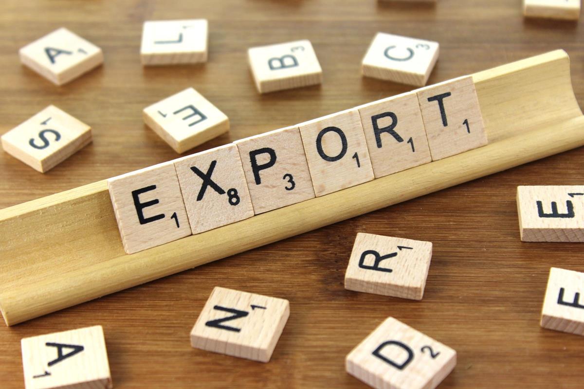 immagine export