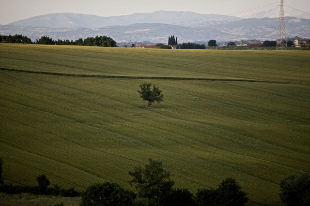 Patrimonio Immobiliare