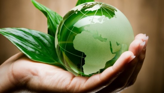 Affidamento del servizio di supporto per lo svolgimento delle attività previste nell’ambito del progetto BIO-ECOnomy Research Driven Innovation (BIOECO-R.D.I.)