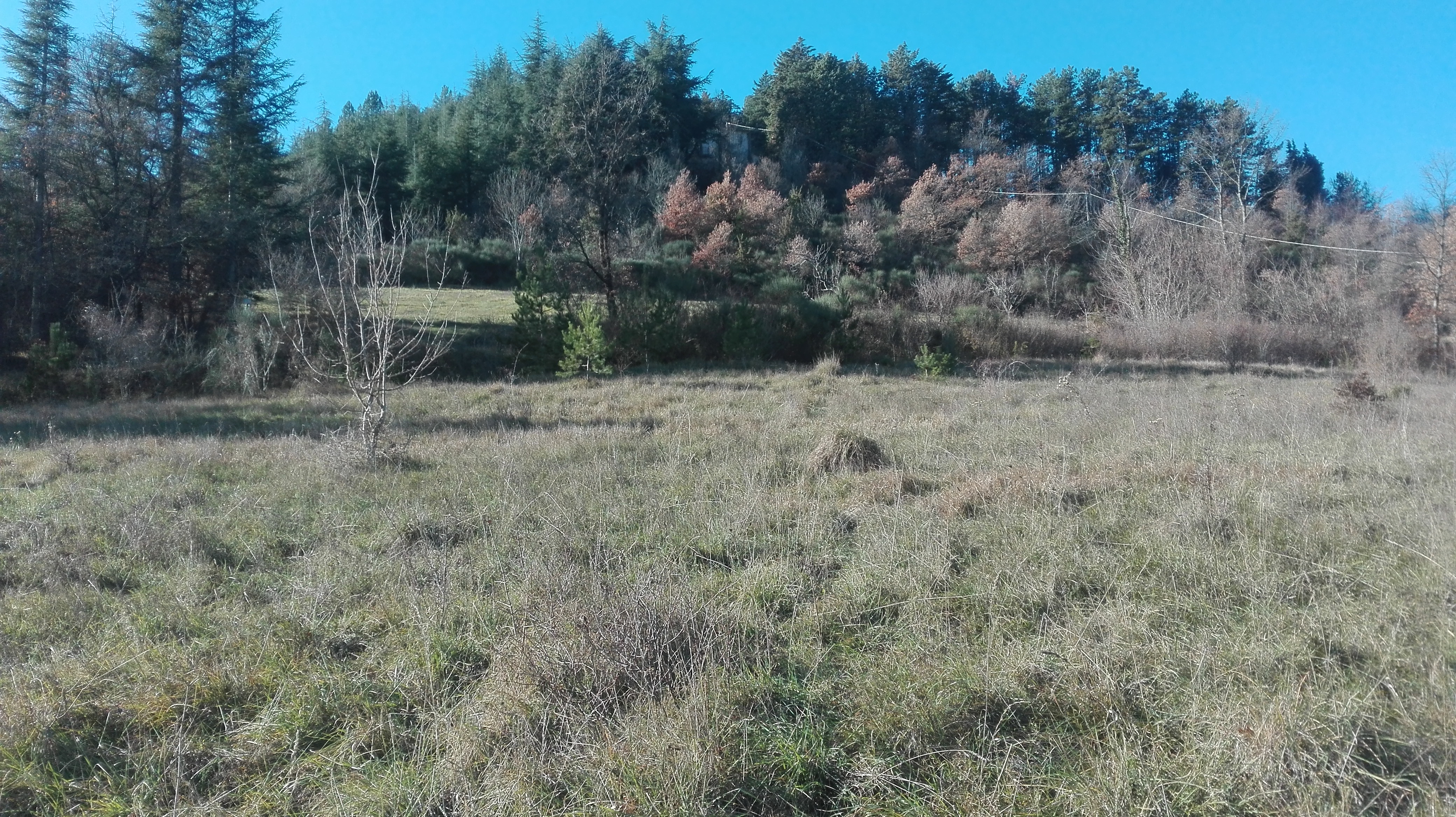 Terreni asta 18 dicembre 2018