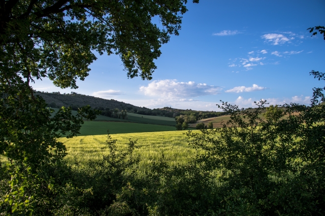 campagna