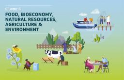 Horizon-Cluster 6: nuove Call nel settore della bioeconomia, agricoltura e ambiente
