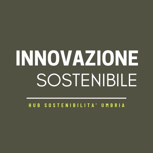 Strategia d'impresa per lo sviluppo sostenibile