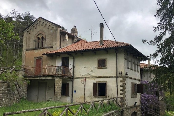 bocca serriola