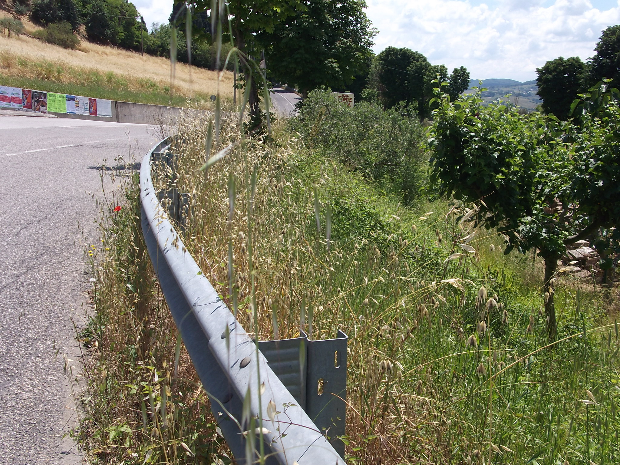 Avviso d’Asta pubblica per l’alienazione di n.6 lotti di immobili, di proprietà della Regione Umbria. Comunicazione sull'esito