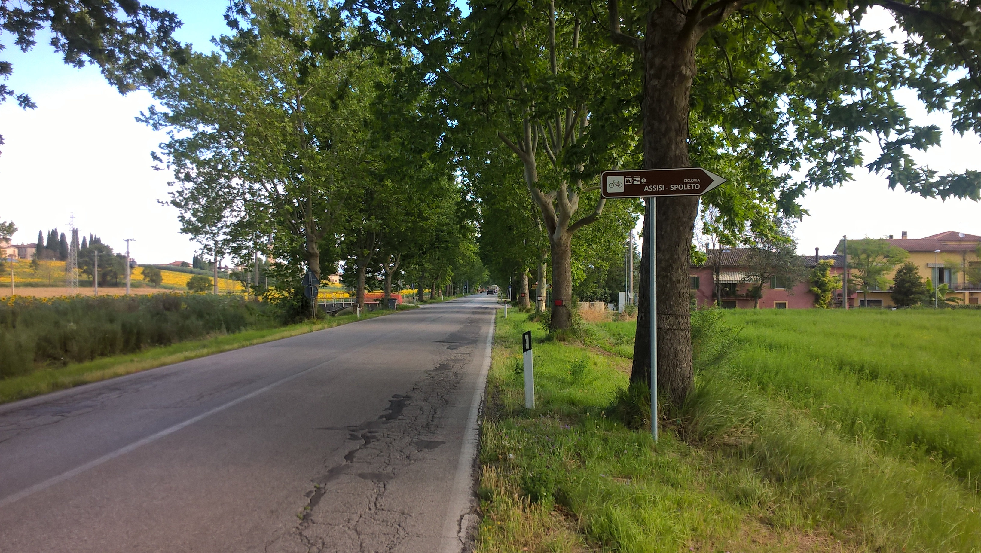 segnaletica ciclabile 2