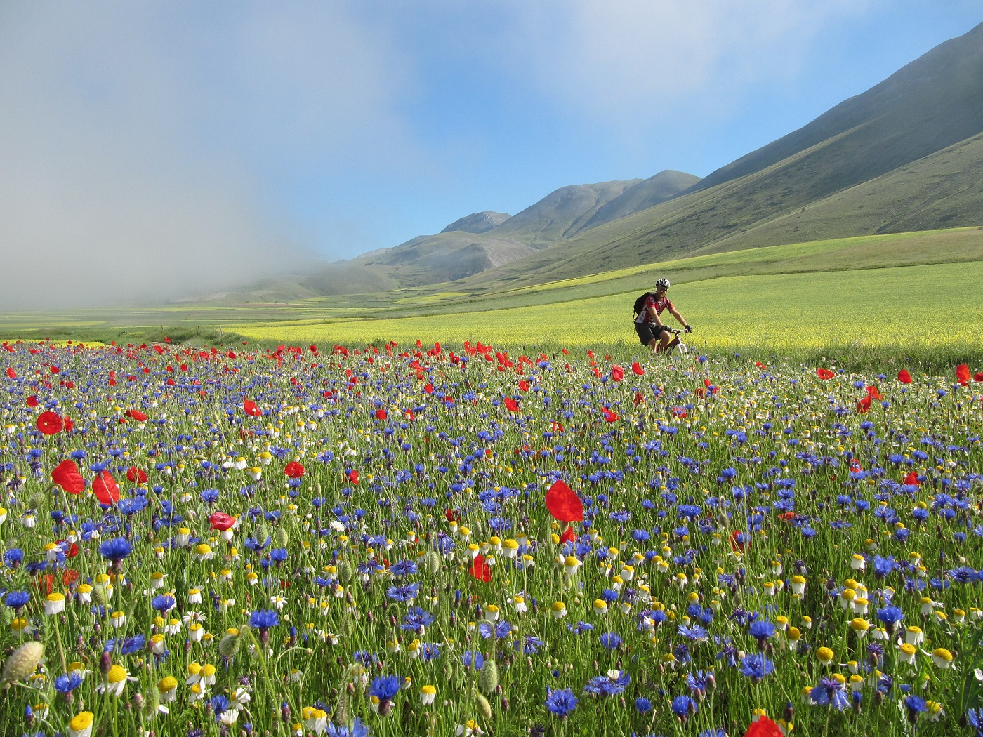 castelluccio2